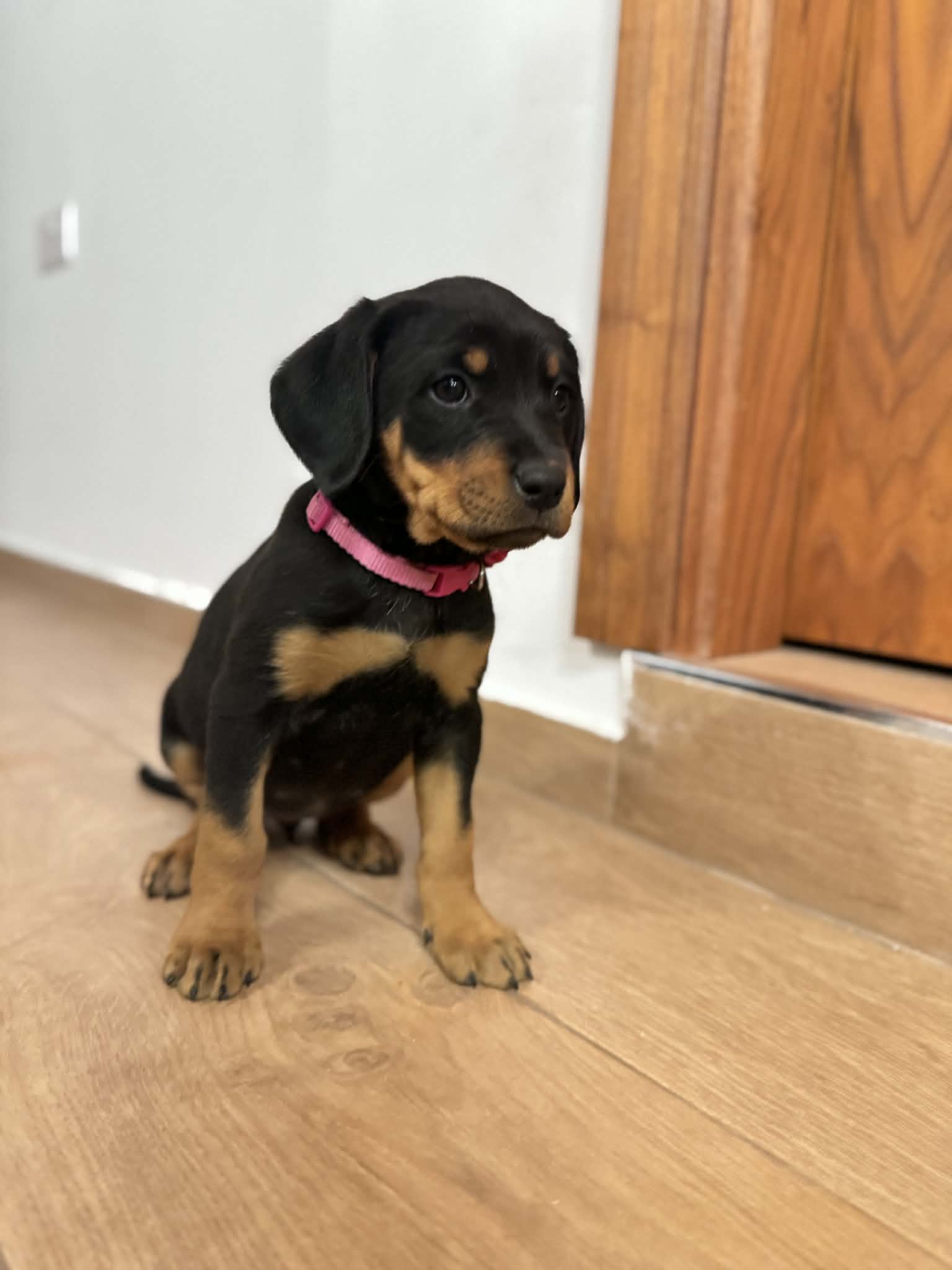 650092759_26695660110041340_6317305548398661165_n