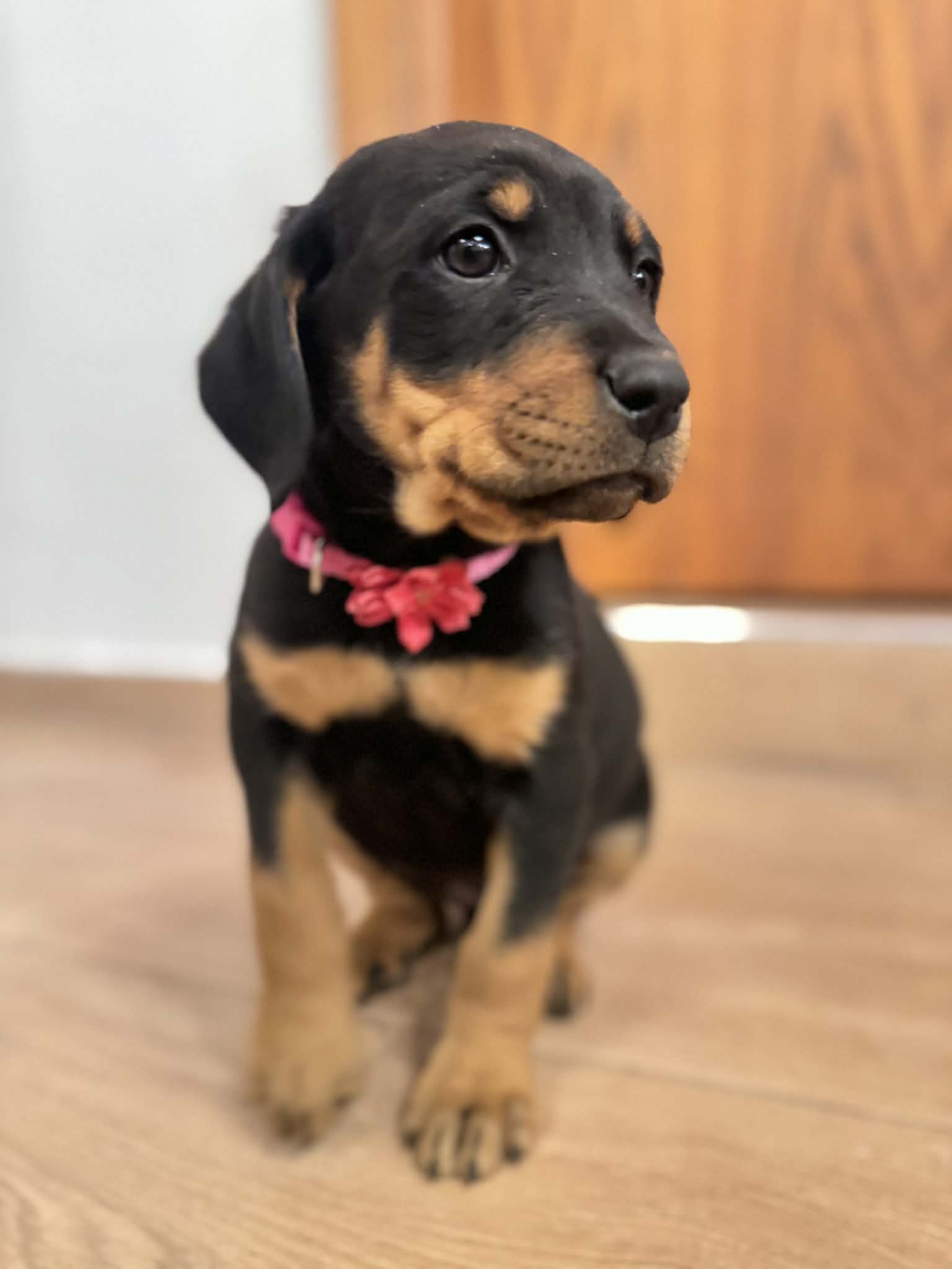 650103953_26695660280041323_8127554893948671243_n