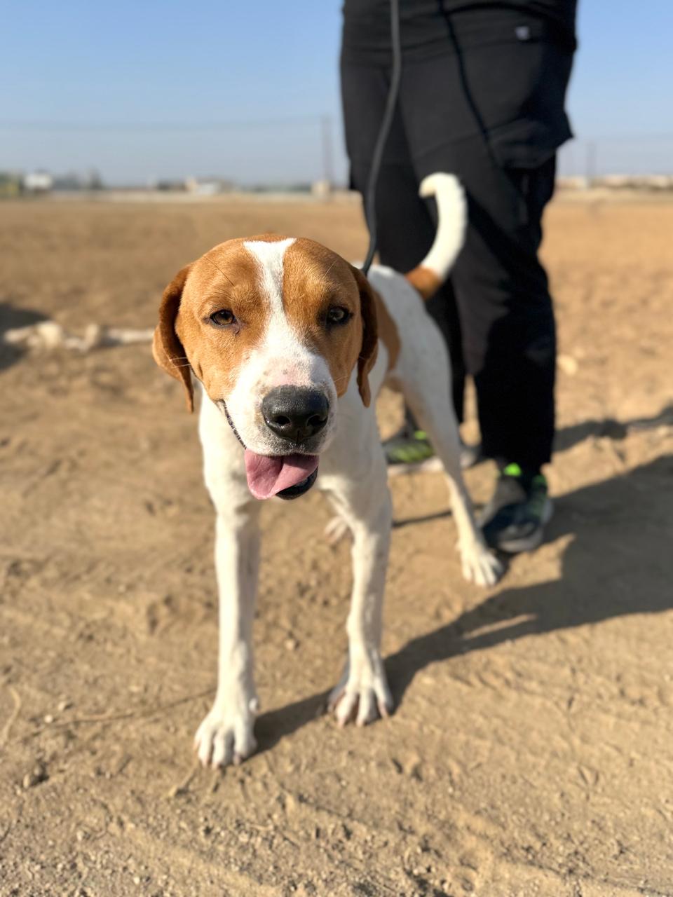 650485056_936214338921744_9133556359752083229_n