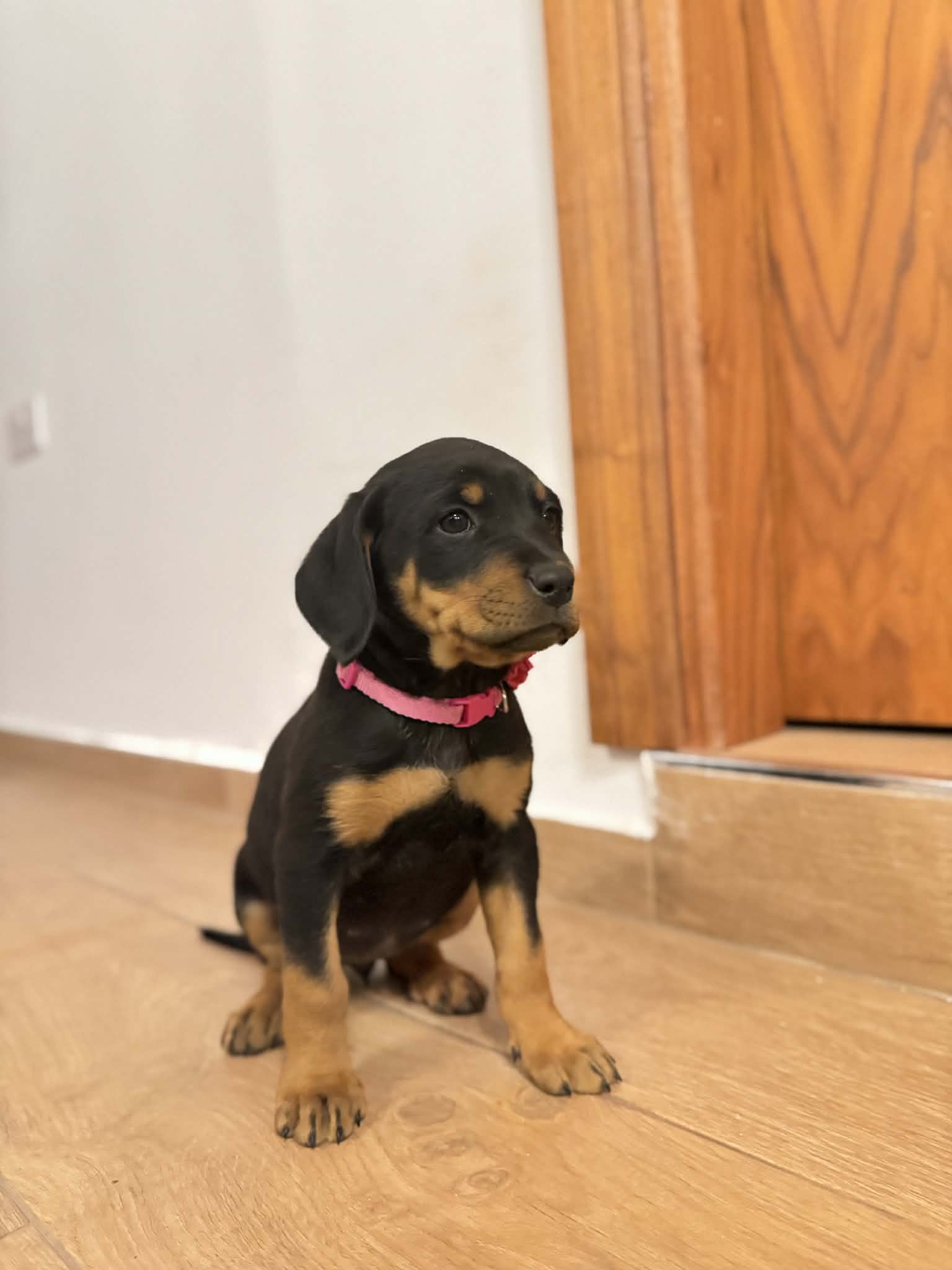 650506597_26695660030041348_8184380647863940852_n