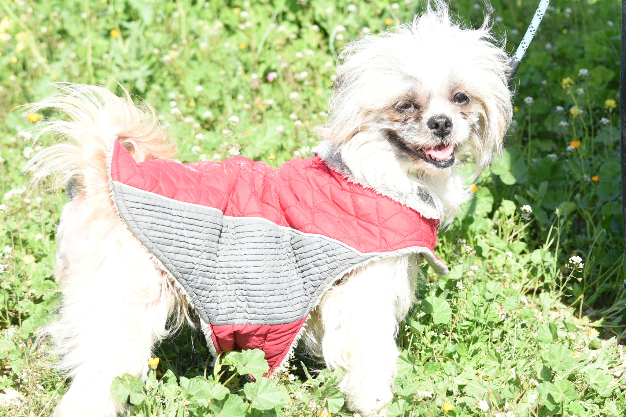 650645191_936868428856335_6706805837739511955_n