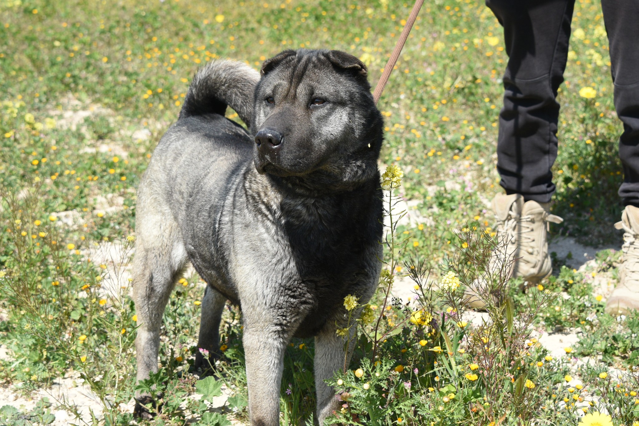 651169172_937593822117129_7072504807755924301_n