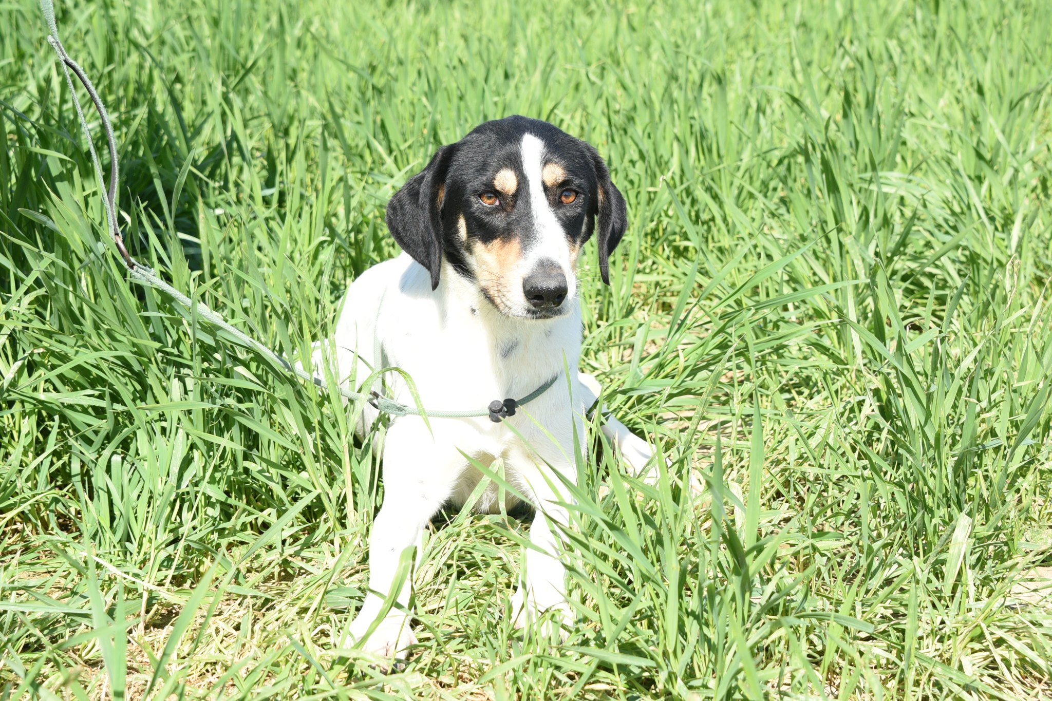 652379640_939718141904697_714078739532499672_n