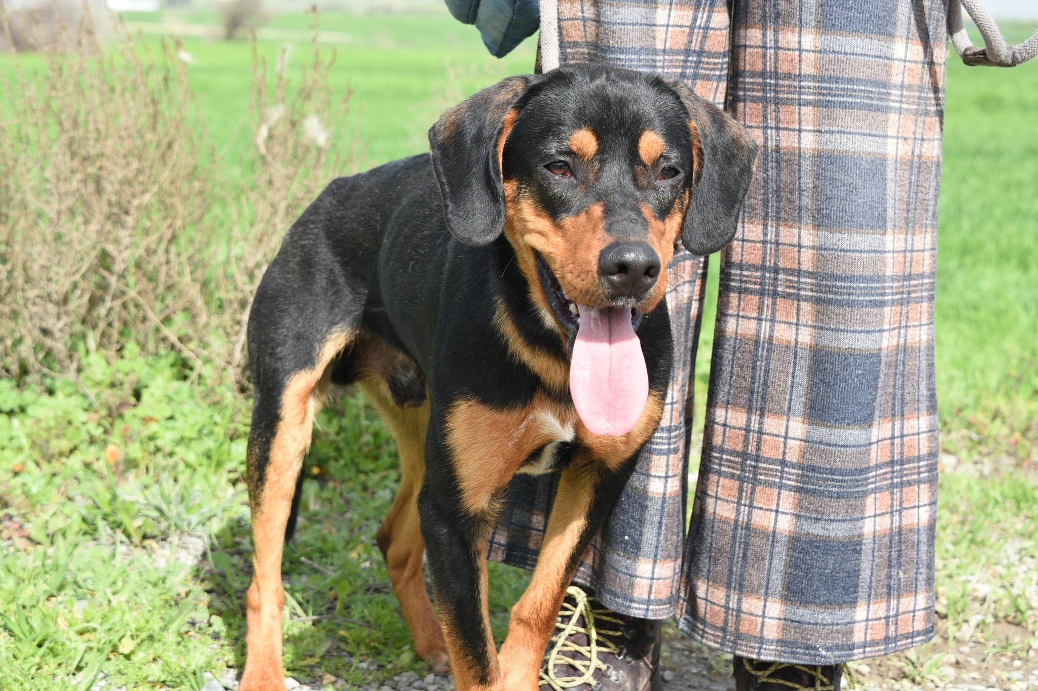 654208560_941398078403370_6594815846392686506_n