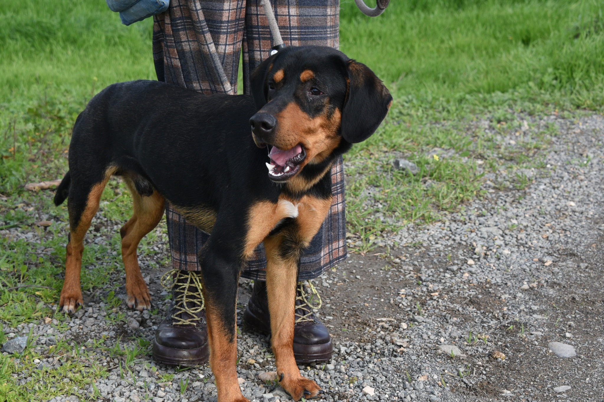 654248013_941398168403361_7935032142646341757_n