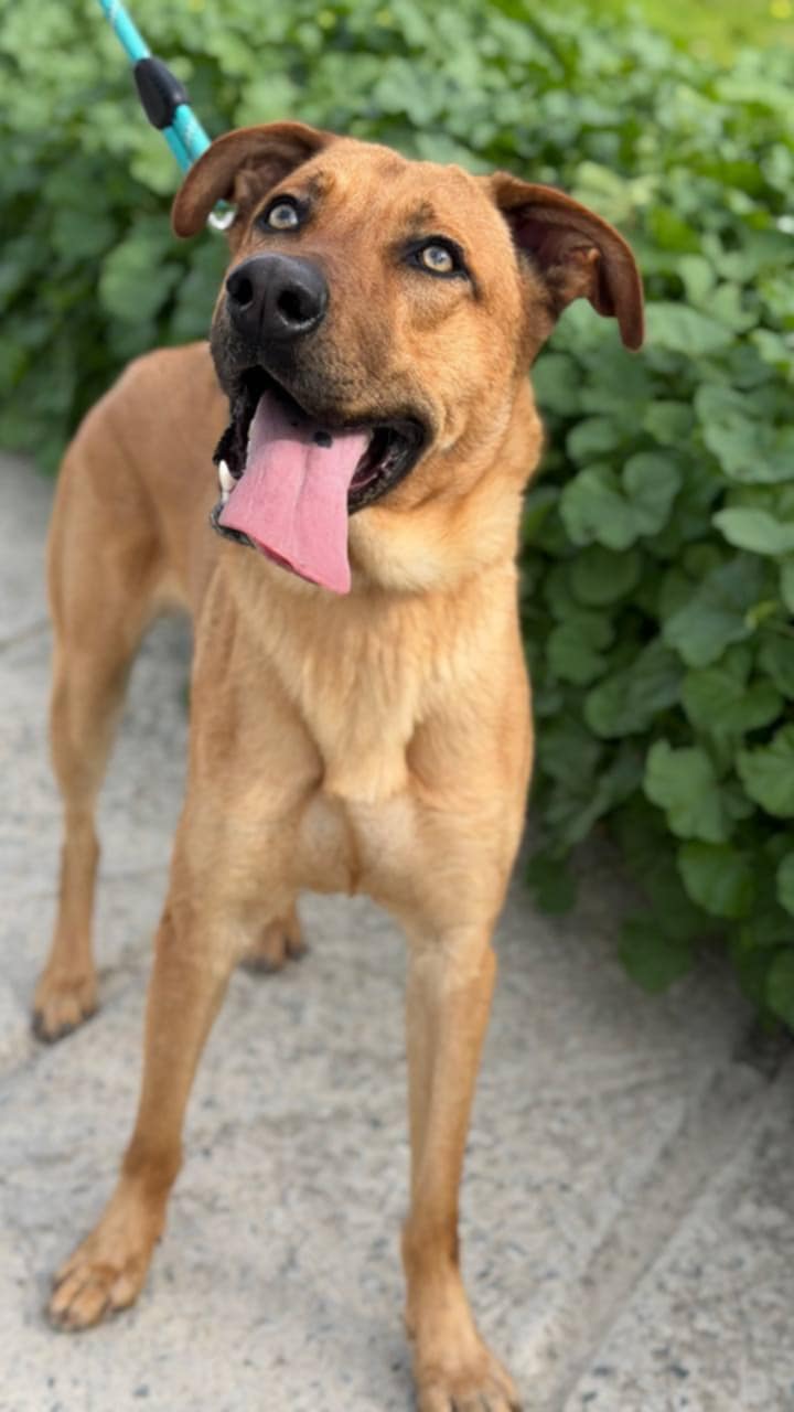 654327137_26764048369869180_1488471549098018892_n