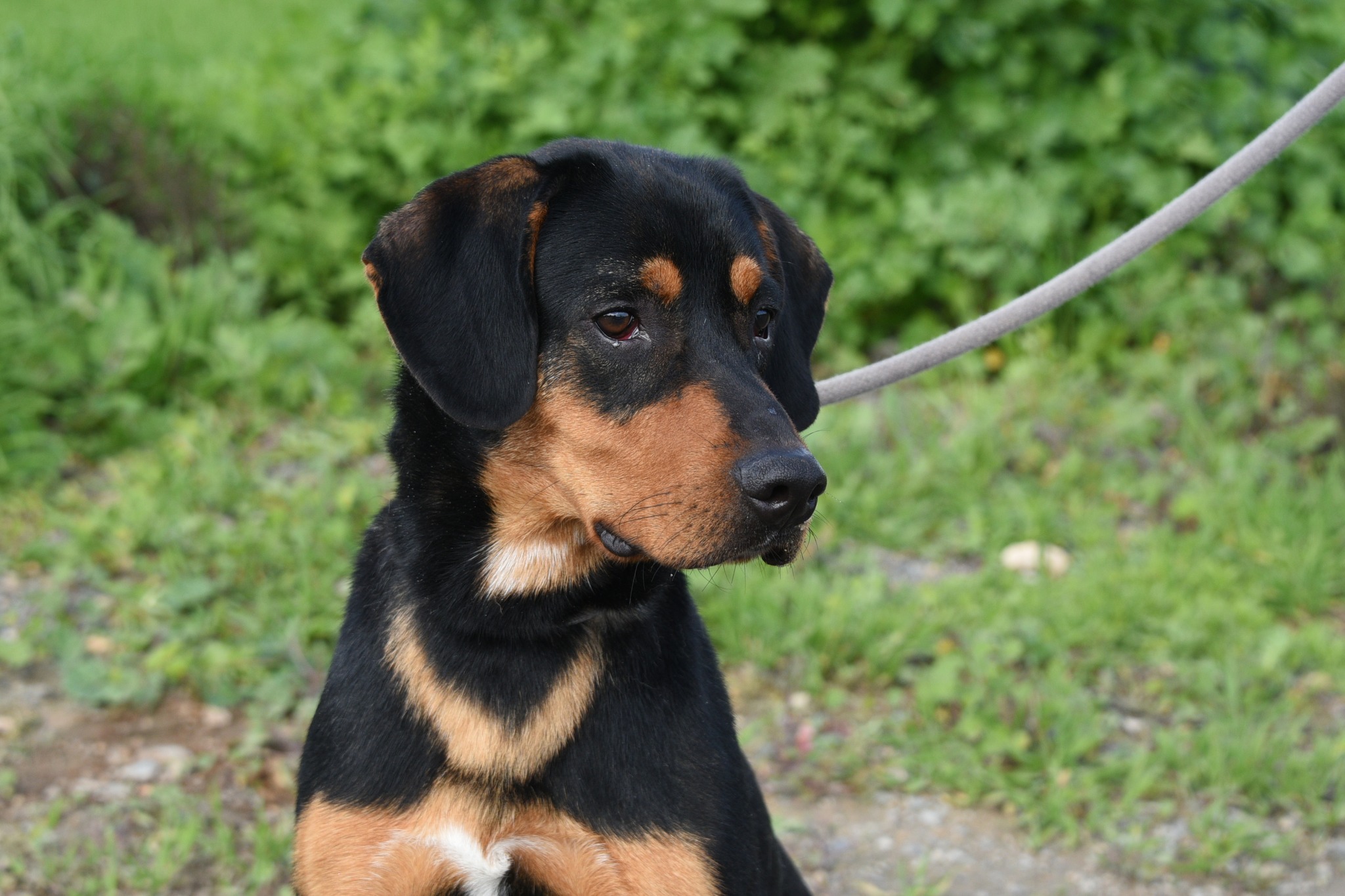 654340569_941397951736716_3356963549929296460_n