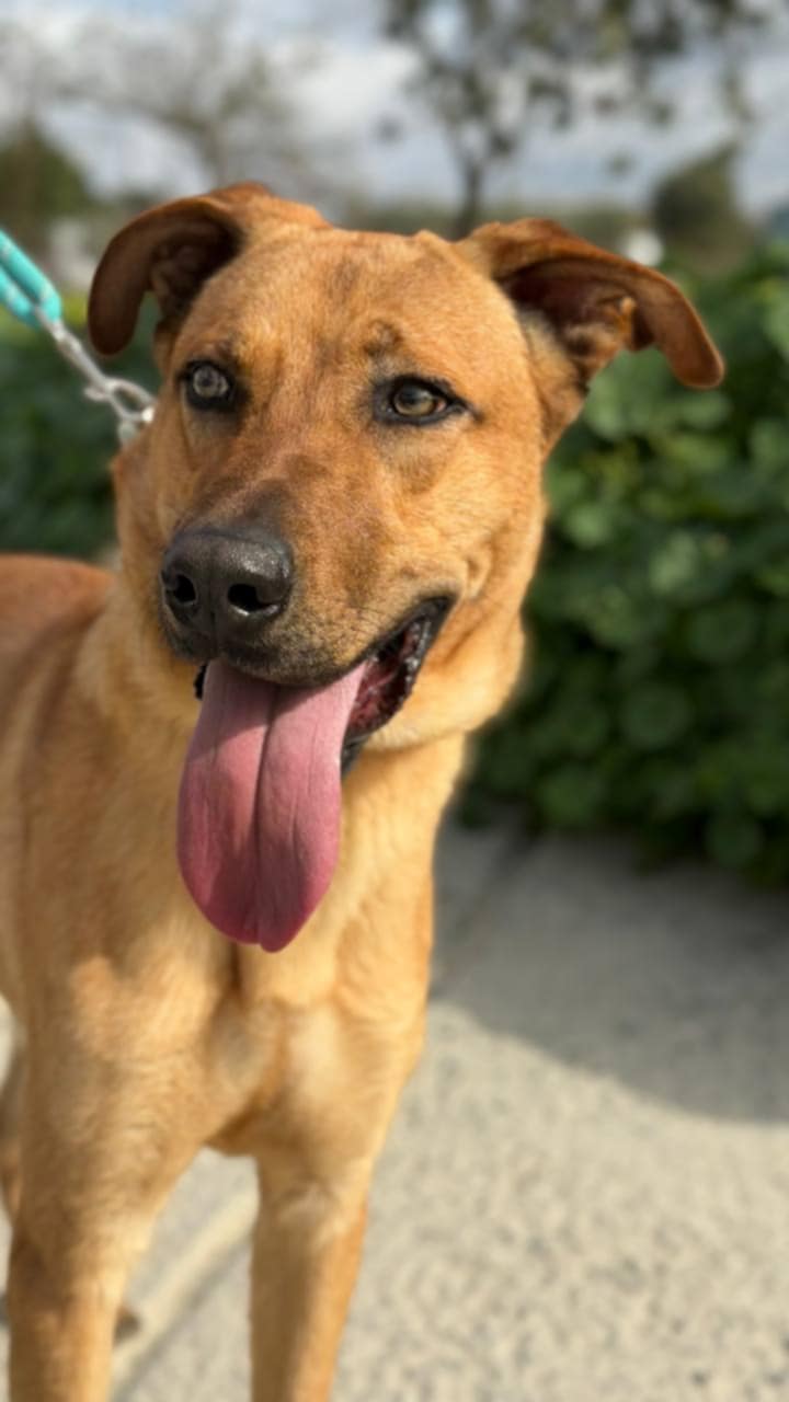 654574810_26764048169869200_516023237376389025_n-1