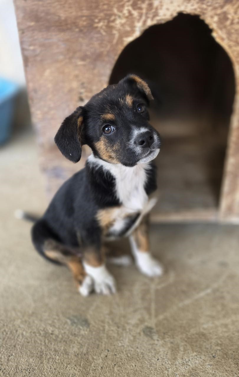 656441693_122176503740771468_3569635611524388454_n