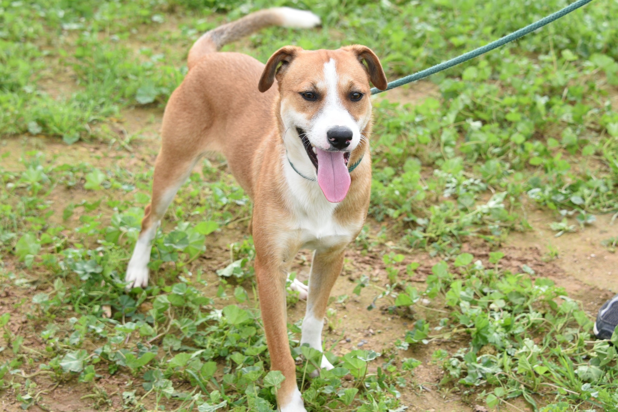 656478507_948311514378693_7987463912464286156_n