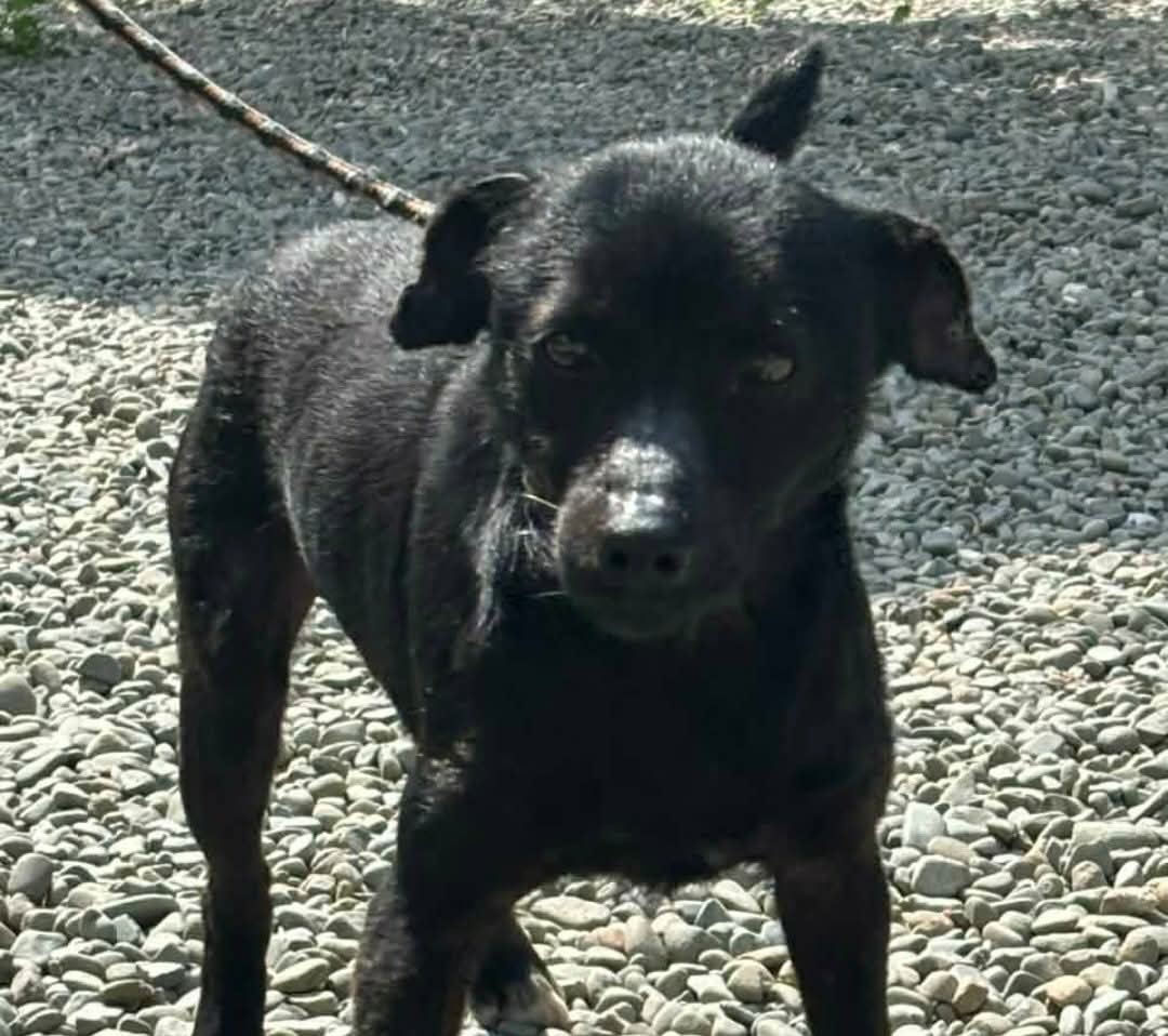 656755894_948147591061752_7551908282054459918_