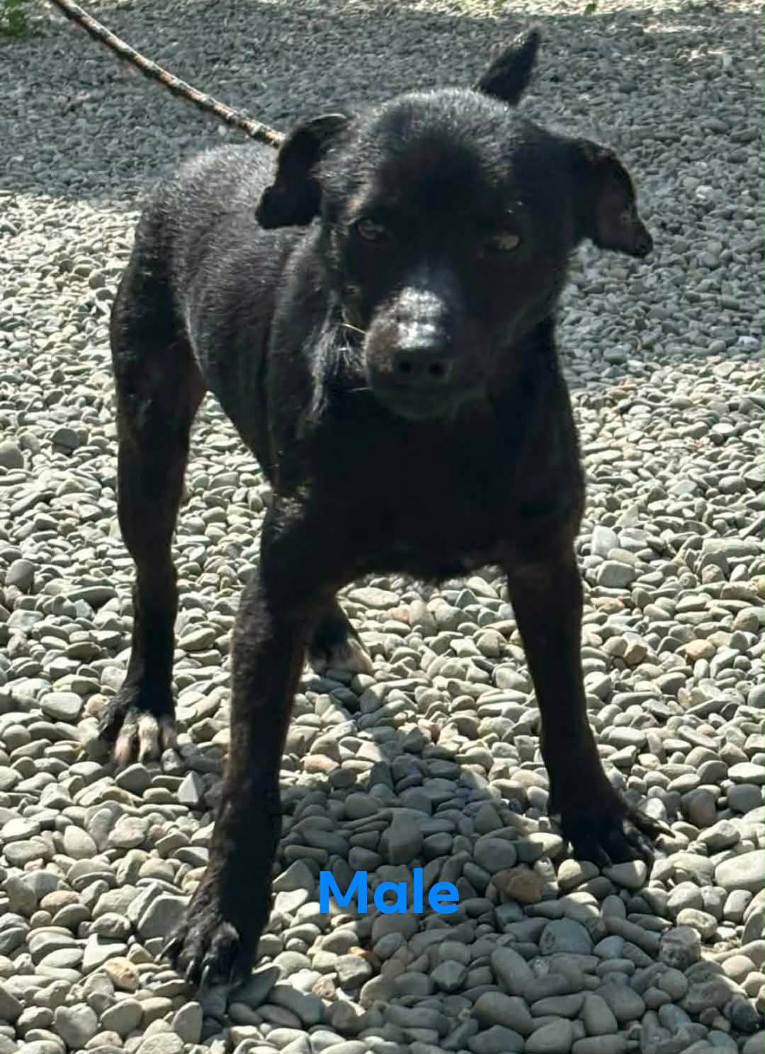 656755894_948147591061752_7551908282054459918_n