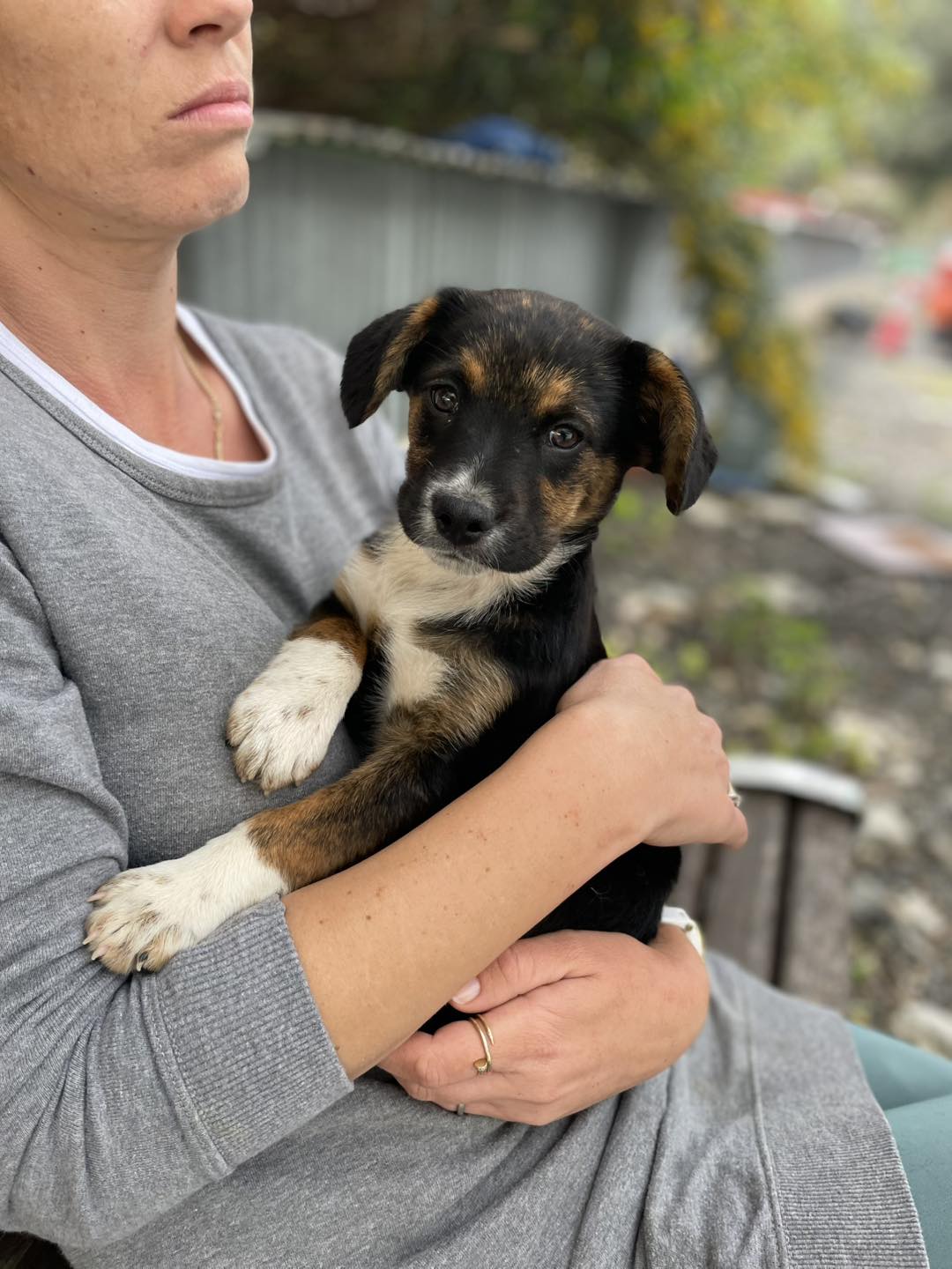 656815663_122176503746771468_5057684342444687009_n