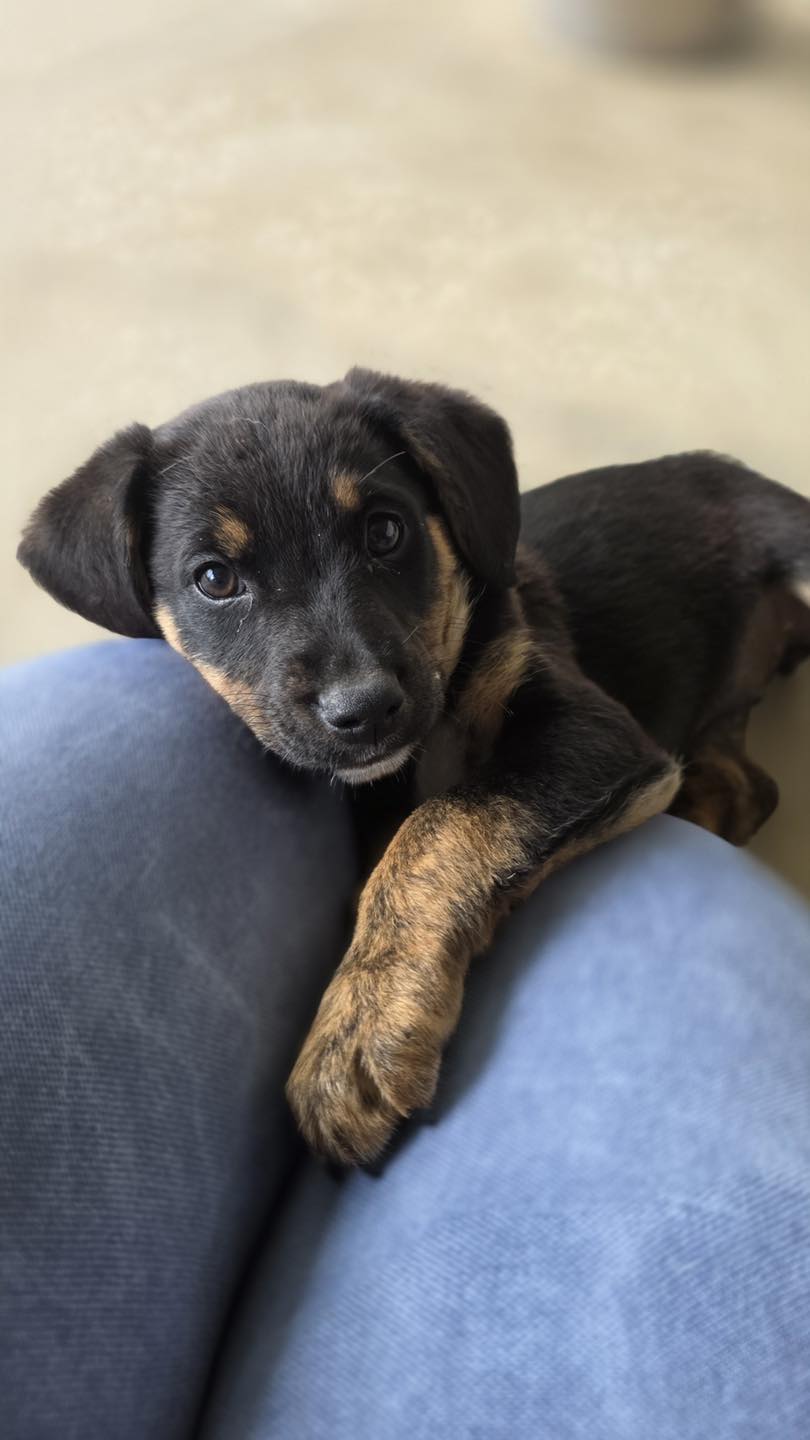 656844059_122176636250771468_4379810798007551499_n