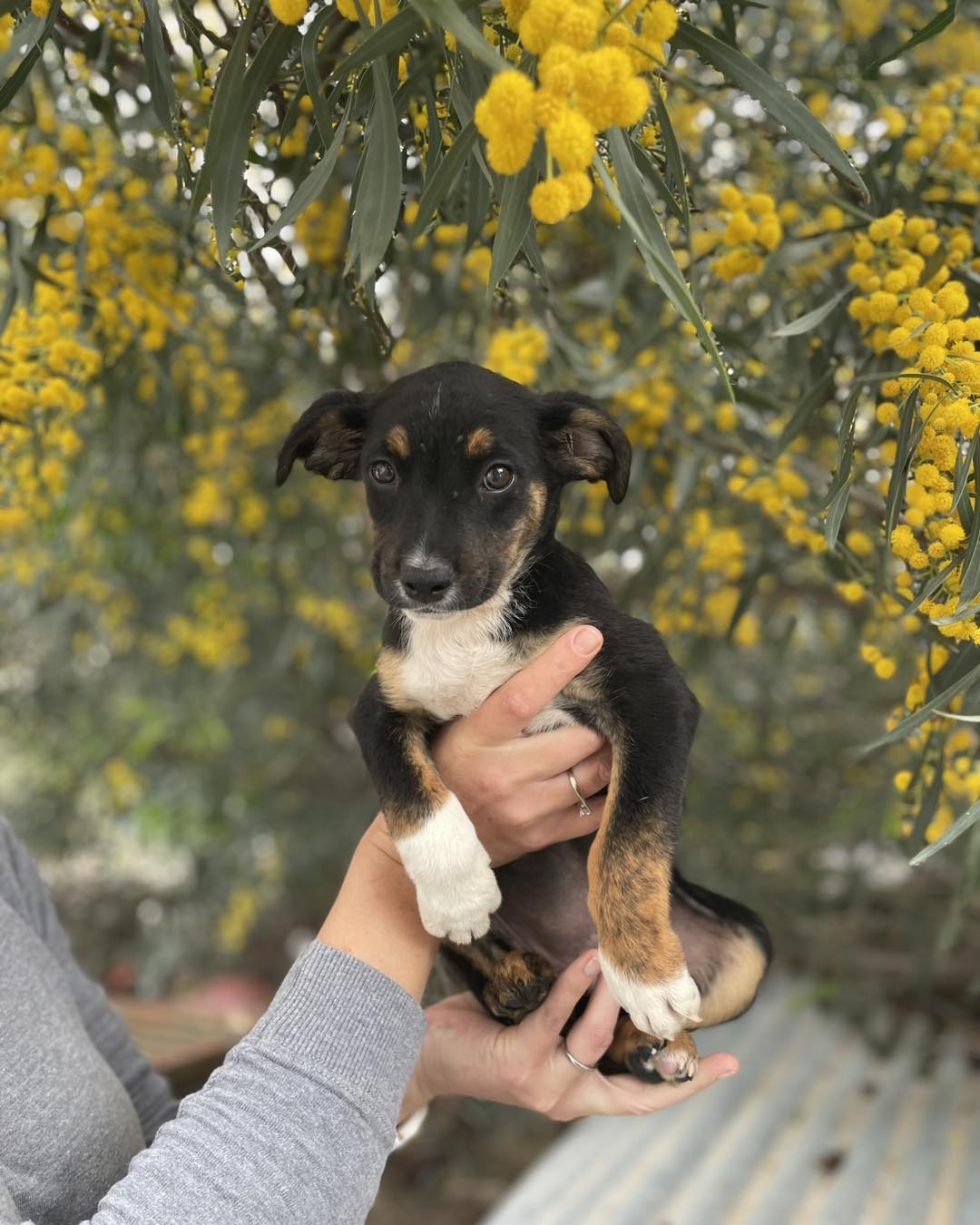 656858561_122176714154771468_5111887364394241163_n