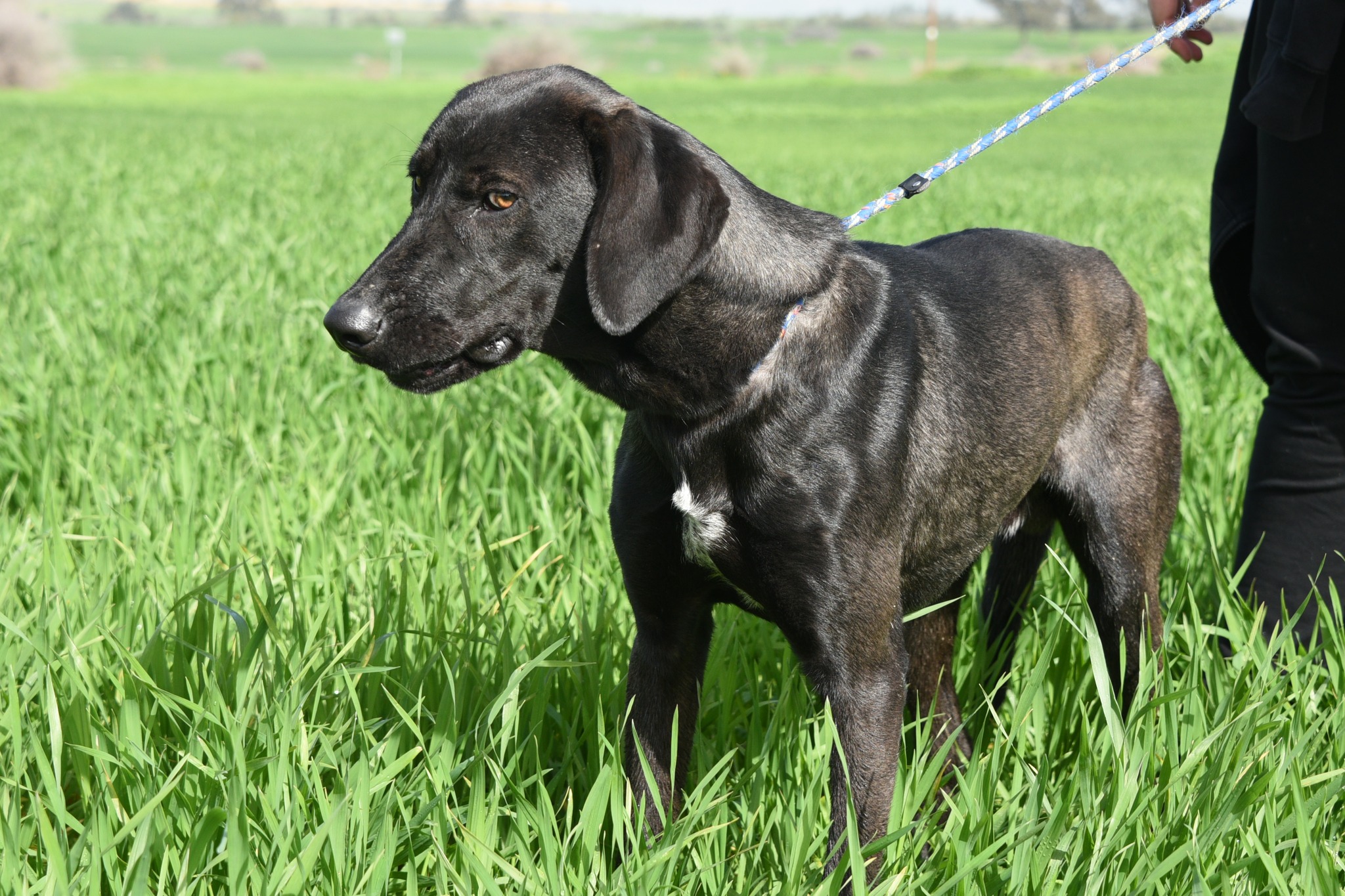 657077782_946492011227310_6252084733073362351_n