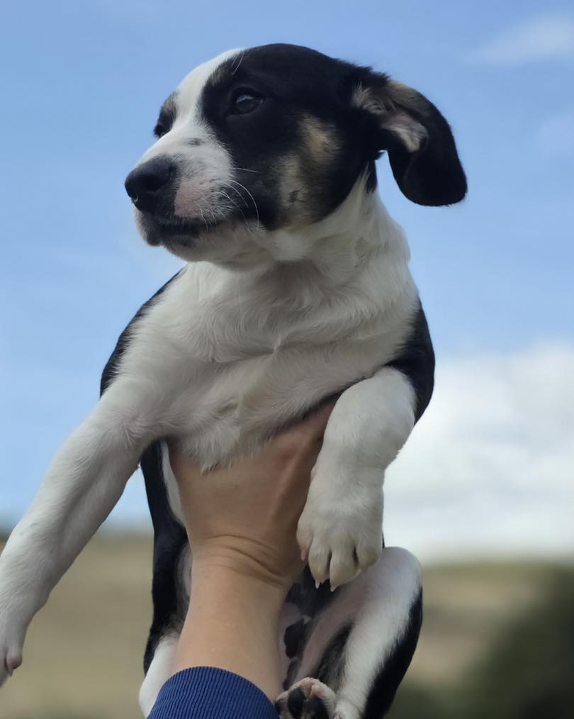 657233003_122176842650771468_478068976331842477_n