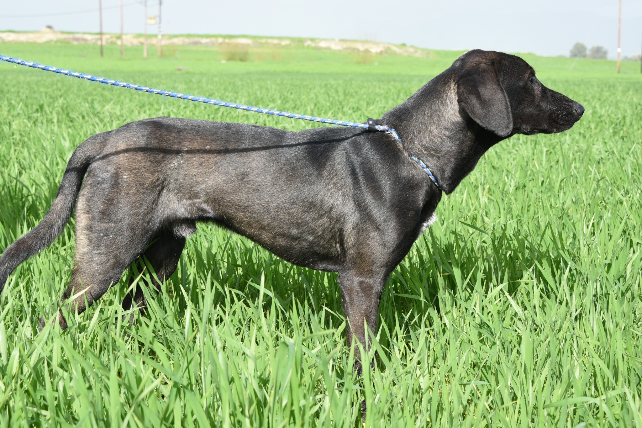 657236701_946492071227304_6639912882944027404_n