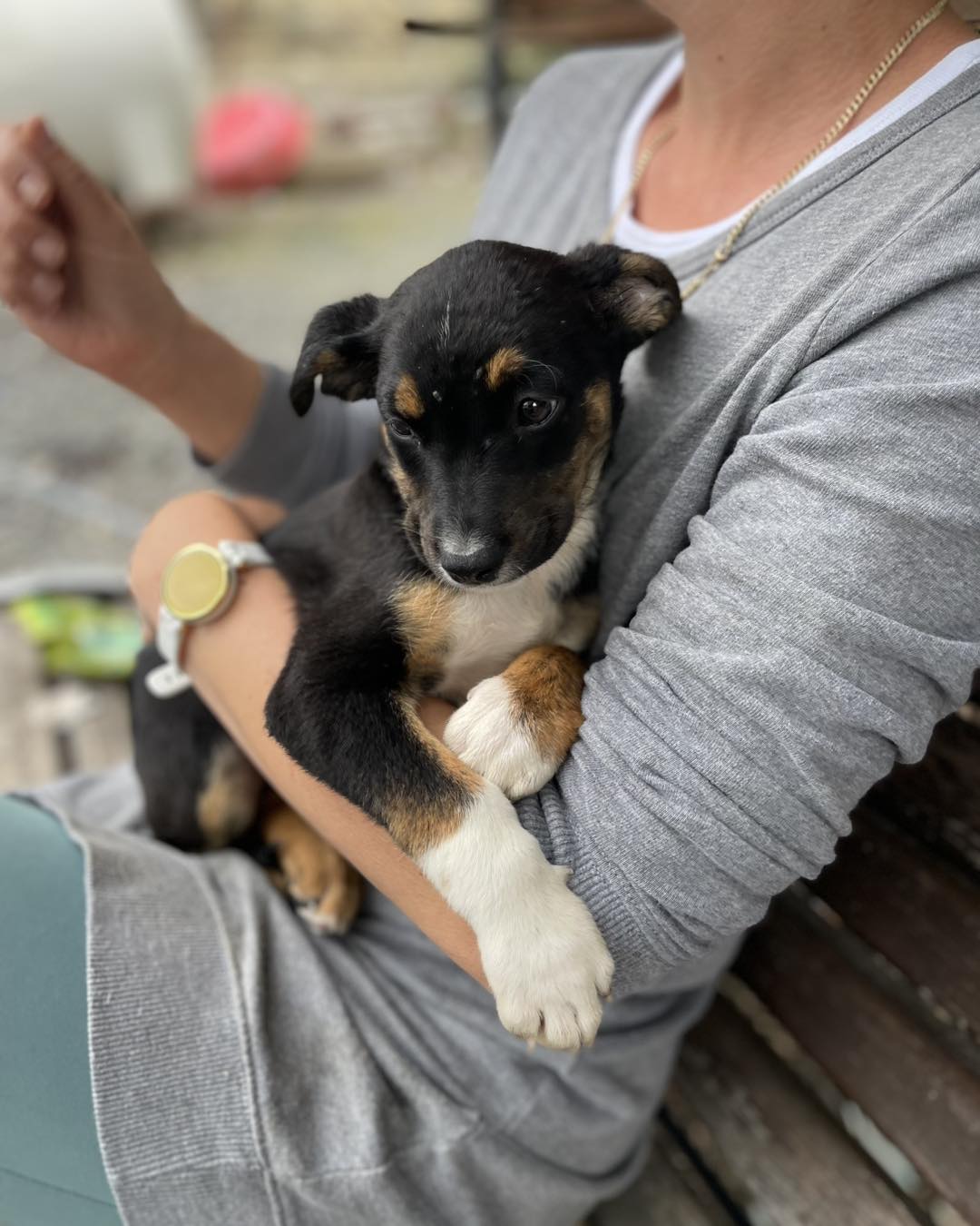 657329262_122176714136771468_7486201595028651727_n