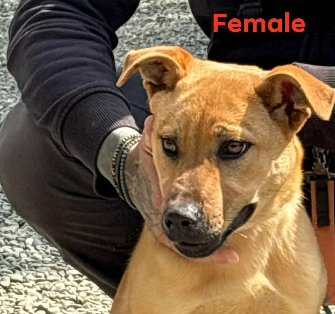 657331131_948151107728067_6823417113211433988_