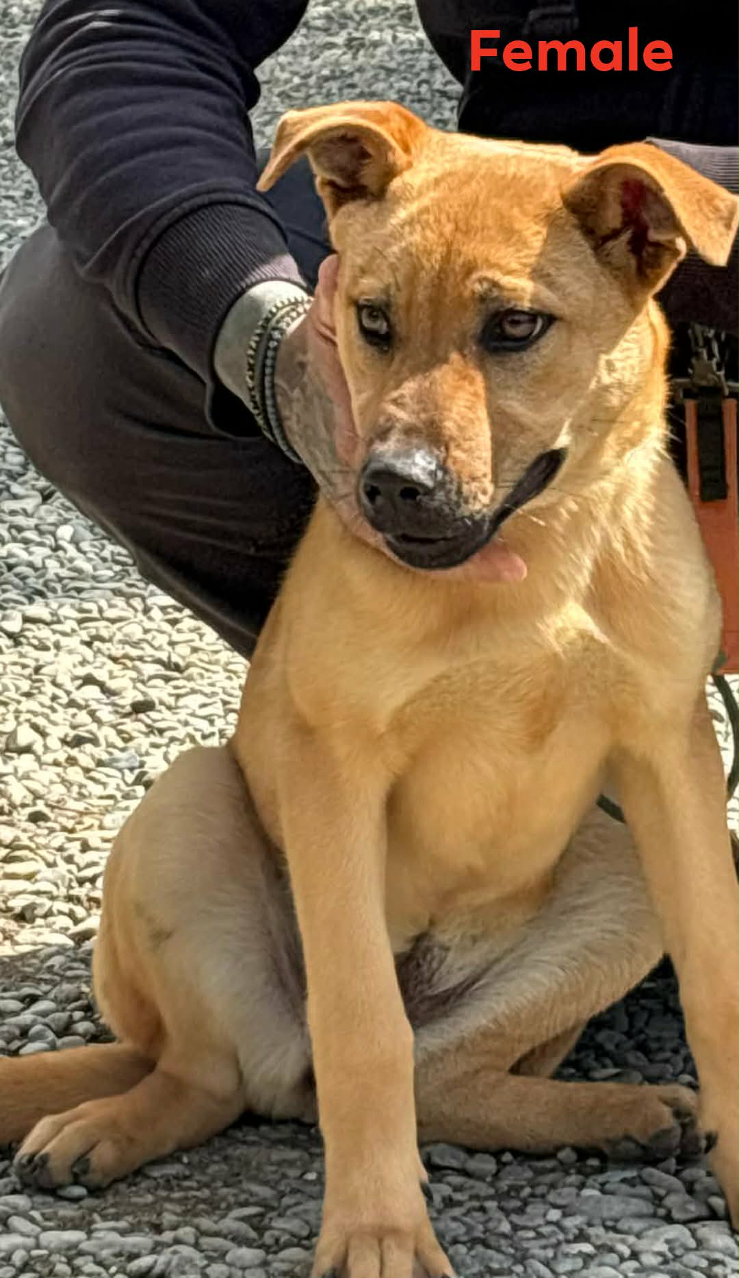 657331131_948151107728067_6823417113211433988_n