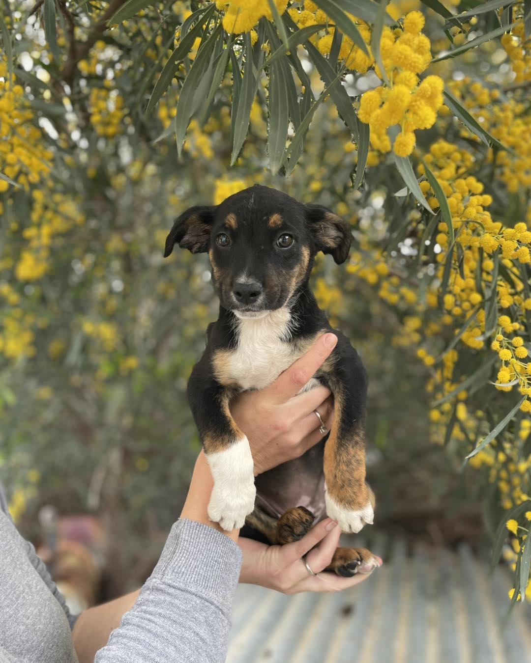 657364445_122176714142771468_1896613273657797828_n