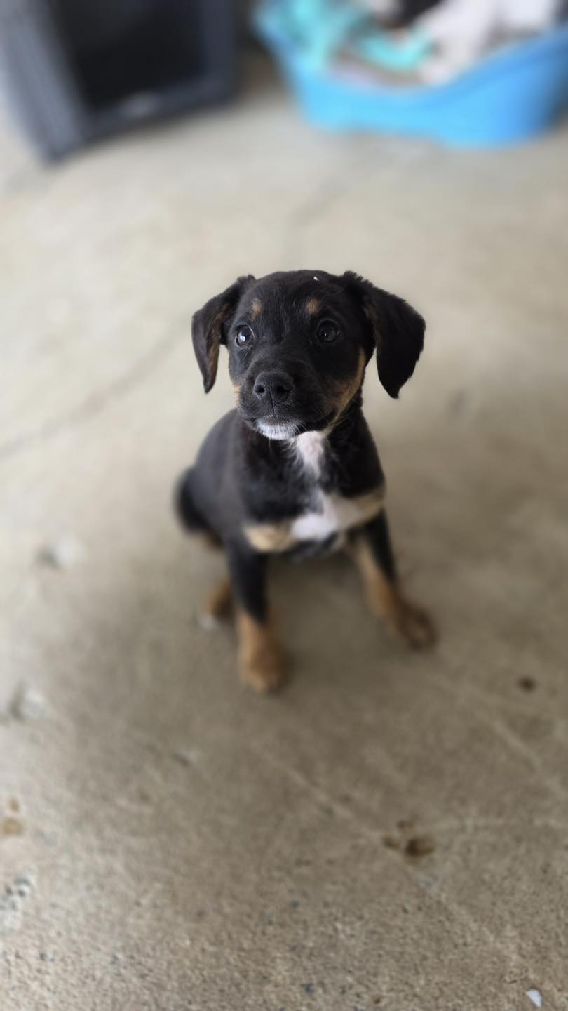 657405104_122176636232771468_2396074554375445378_n