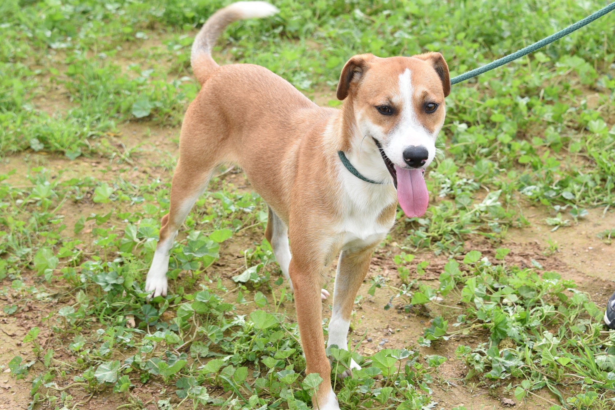 657498941_948311534378691_4463660285067664297_n