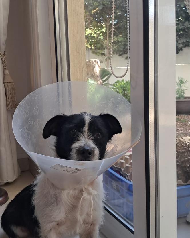 657556379_122176862042771468_2324961169716416701_n