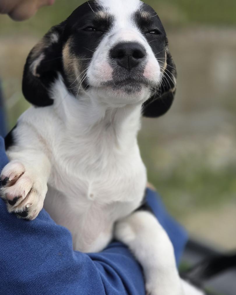 658082933_122176842734771468_3634578766183807917_n