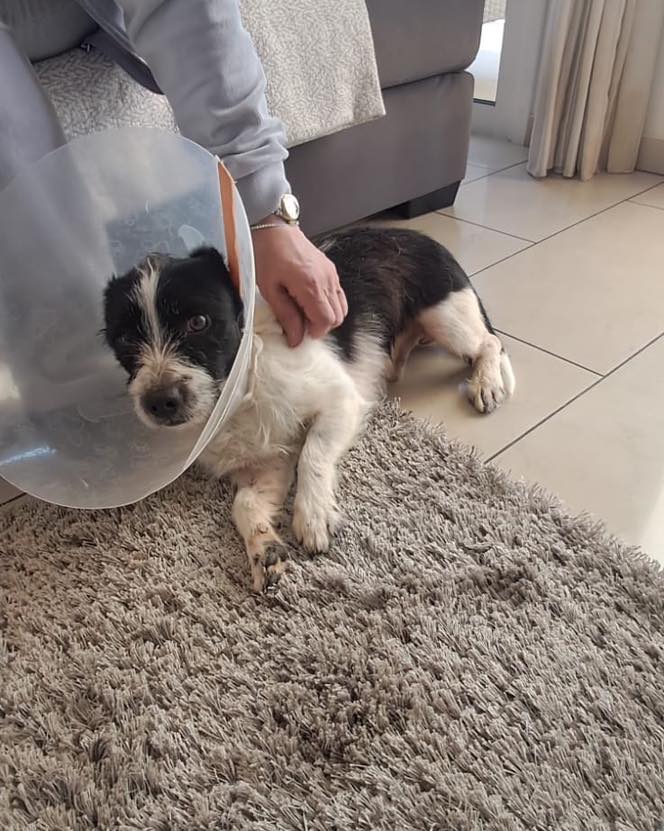 658220007_122176862090771468_3942670651014732782_n