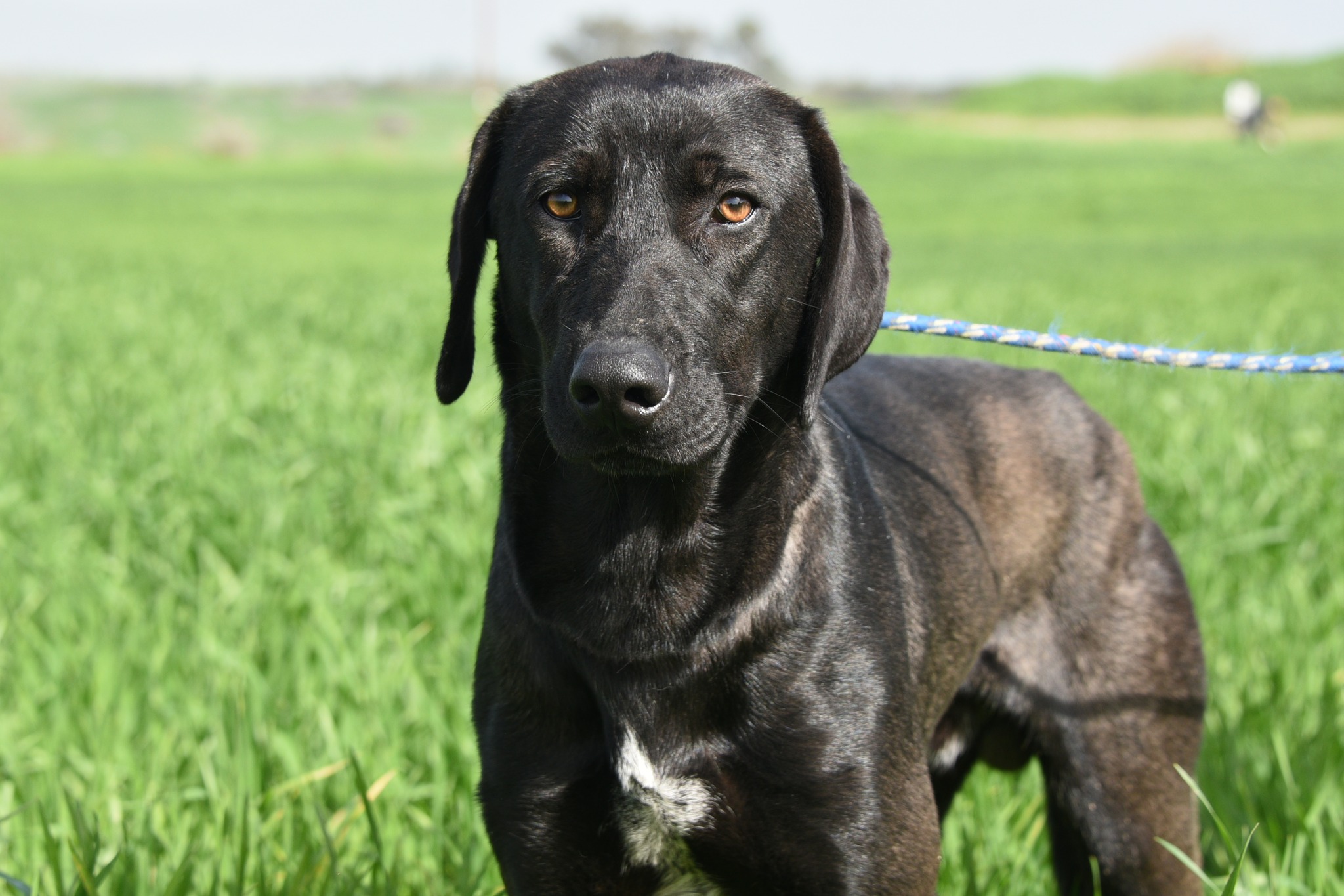 658356890_946492074560637_4881459055274177649_n