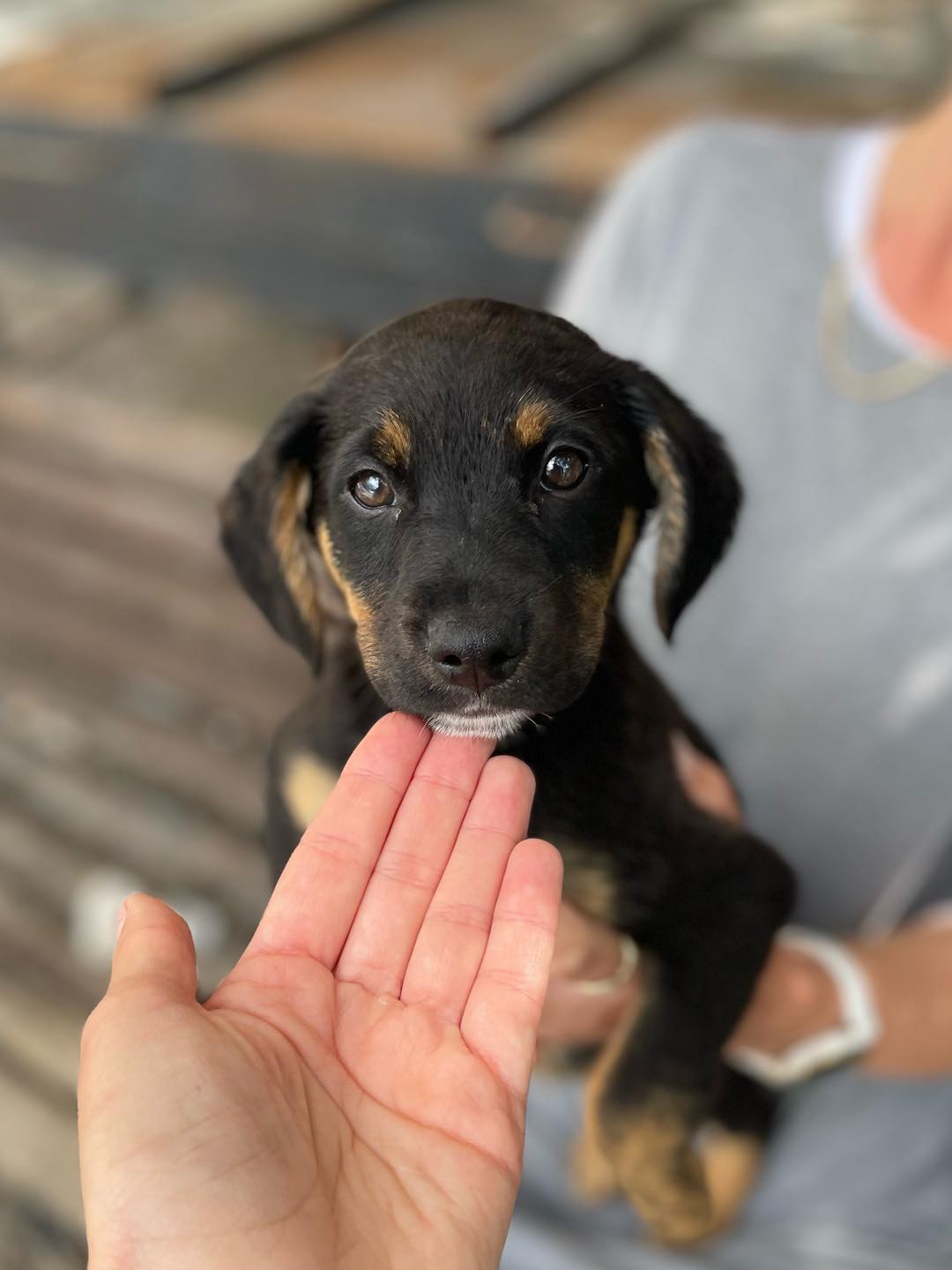 658851614_122176636244771468_7603942518525523270_n