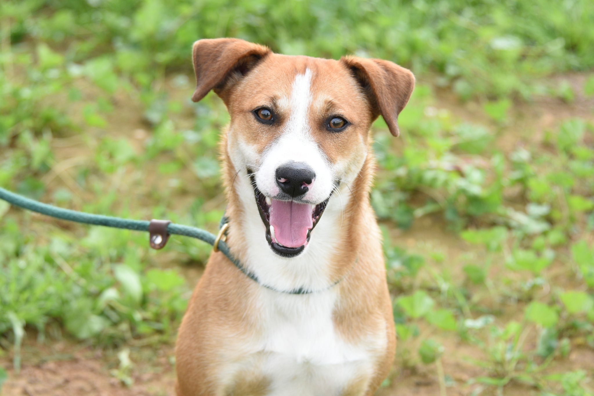 658947825_948311524378692_4440192650522178701_n