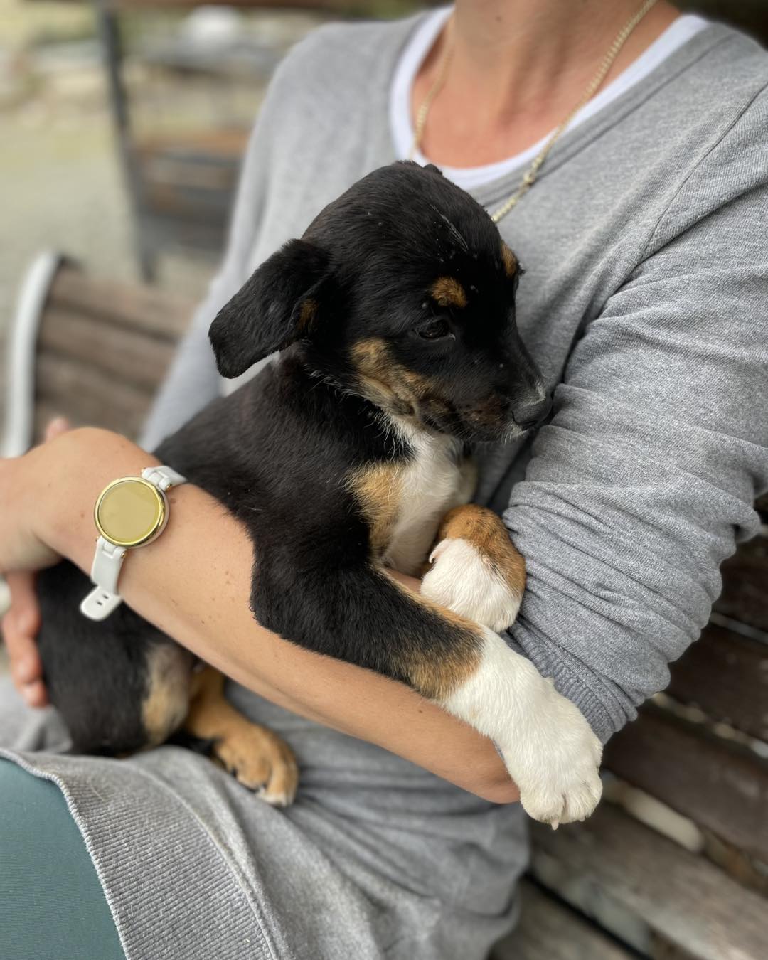 658954323_122176714130771468_7562680045135352992_n