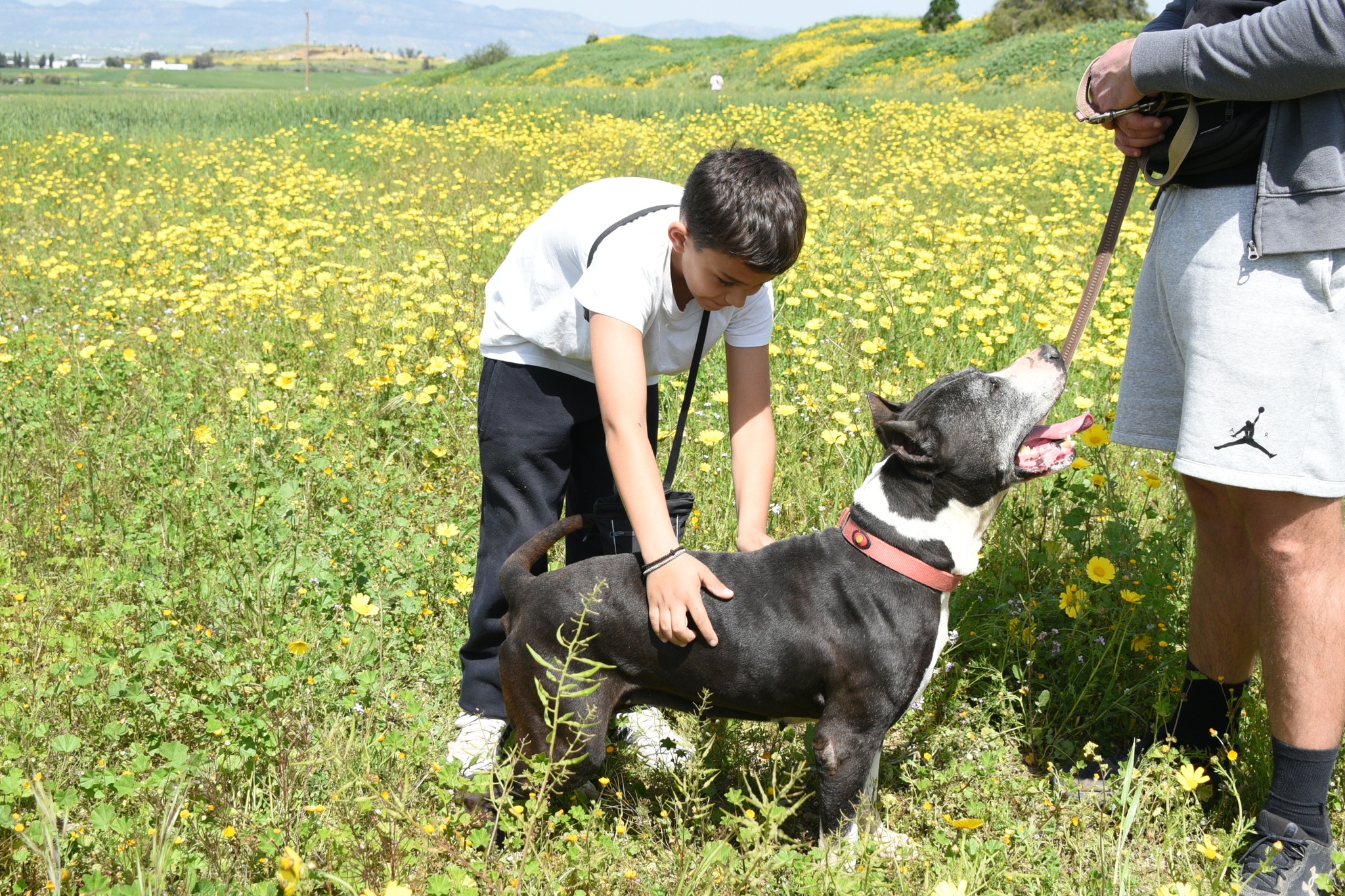 659161327_951388597404318_8043735827868728480_n