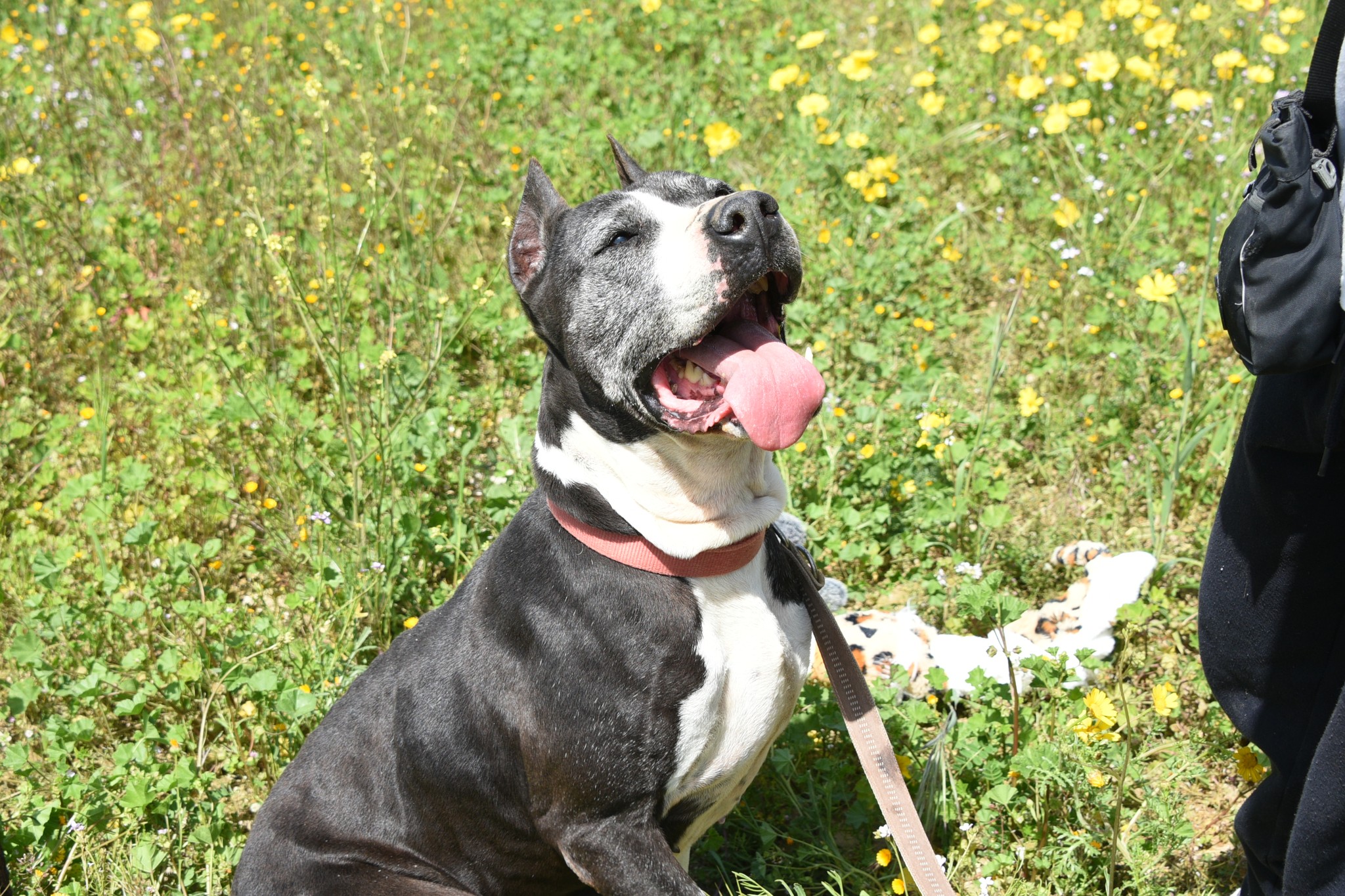 659649938_951388530737658_7928519820641720955_n