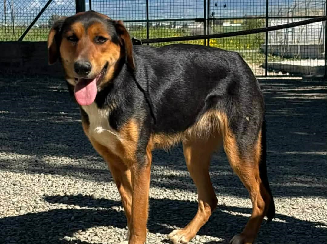 659716575_952090614000783_8604599224634273069_n