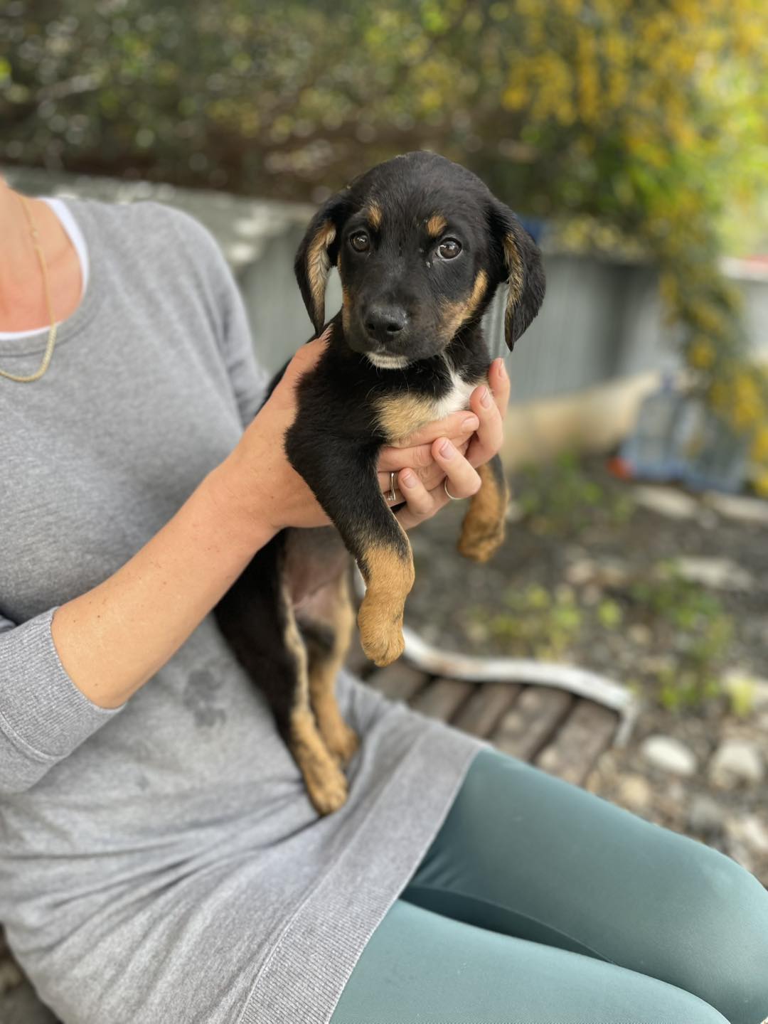 660418817_122176636256771468_7414379663351520429_n