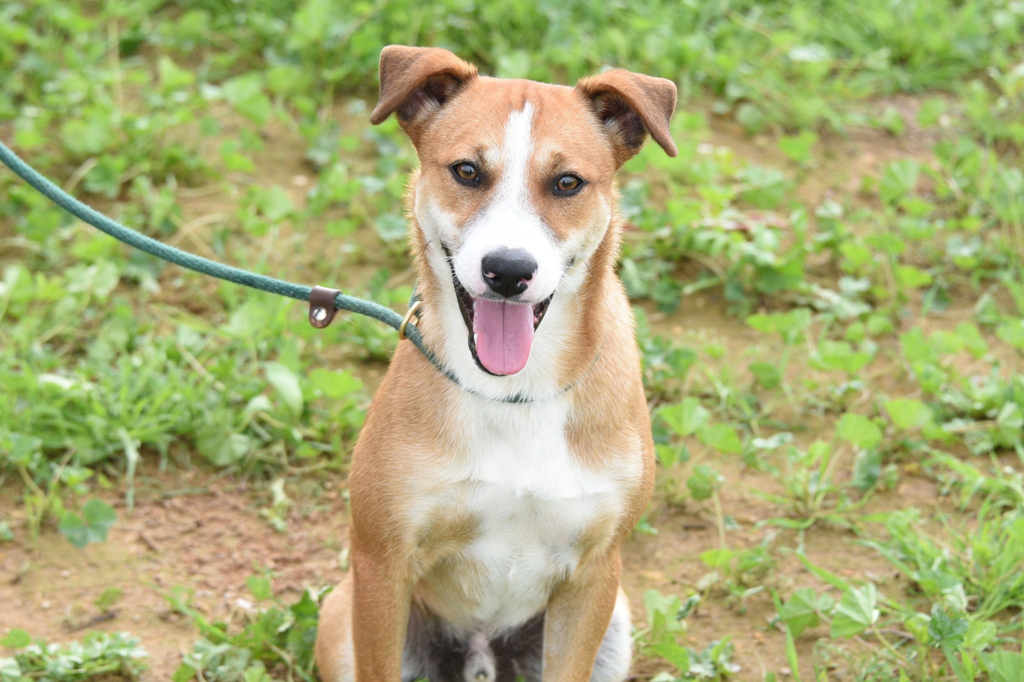 660440880_948311531045358_7137697692635046775_n