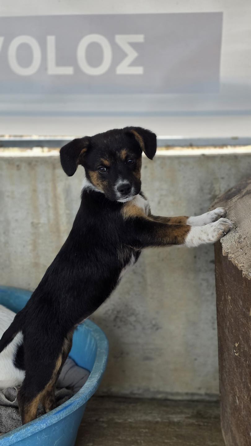 660460001_122176503722771468_6908595785994283910_n