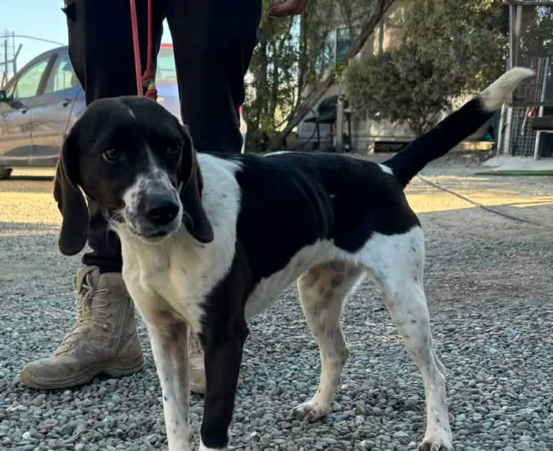 660495309_952088327334345_1215162143682007326_n