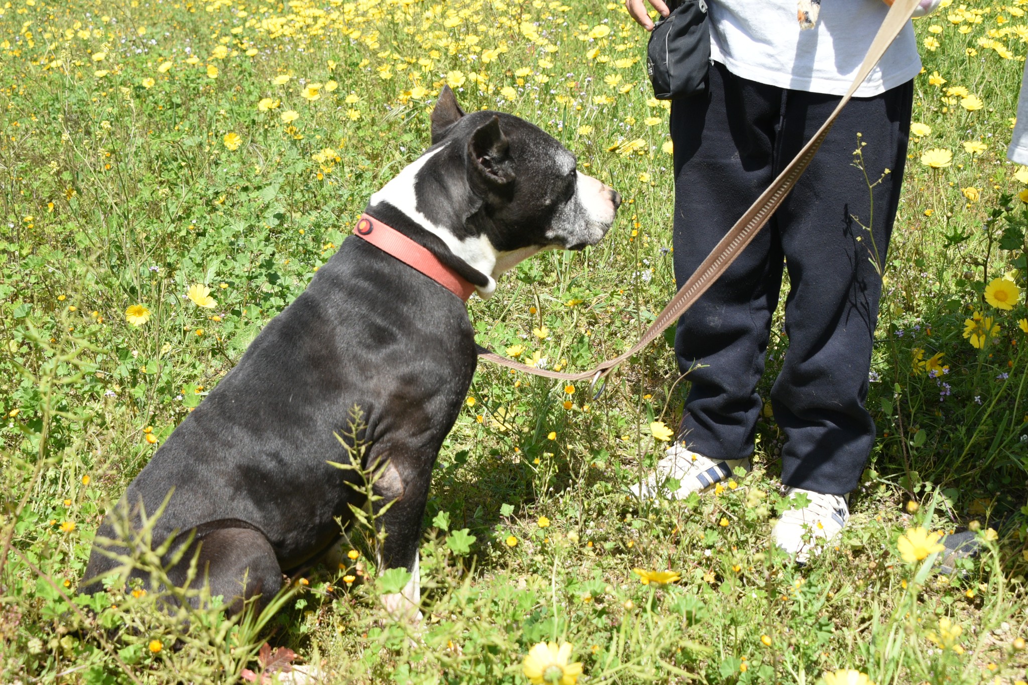 661043596_951388594070985_8577116799952720022_n