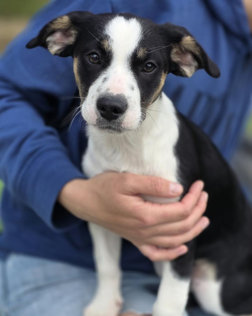 661328503_122176842698771468_1723351007704592097_n