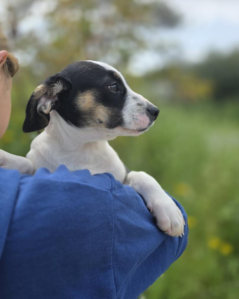 661409322_122176842668771468_5400206335362224718_n