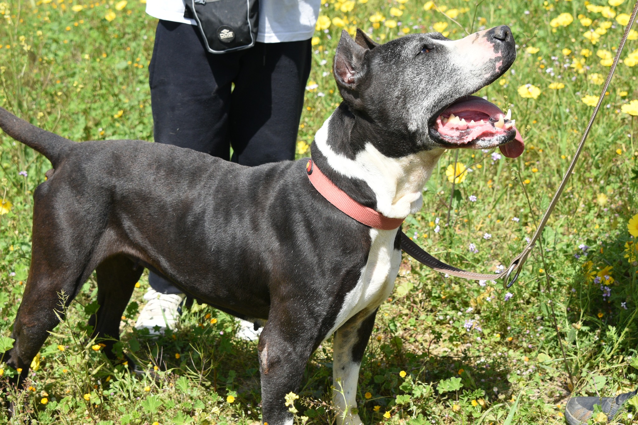 662197028_951657680710743_7266882593831955058_n