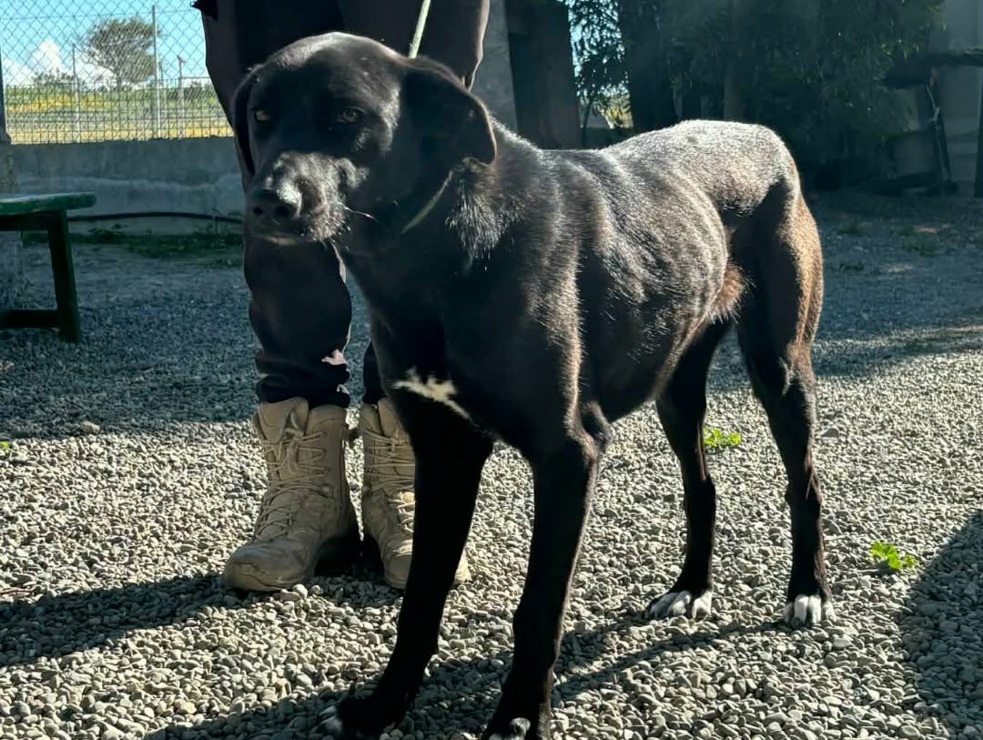 662878219_952081030668408_8239549684178674573_n