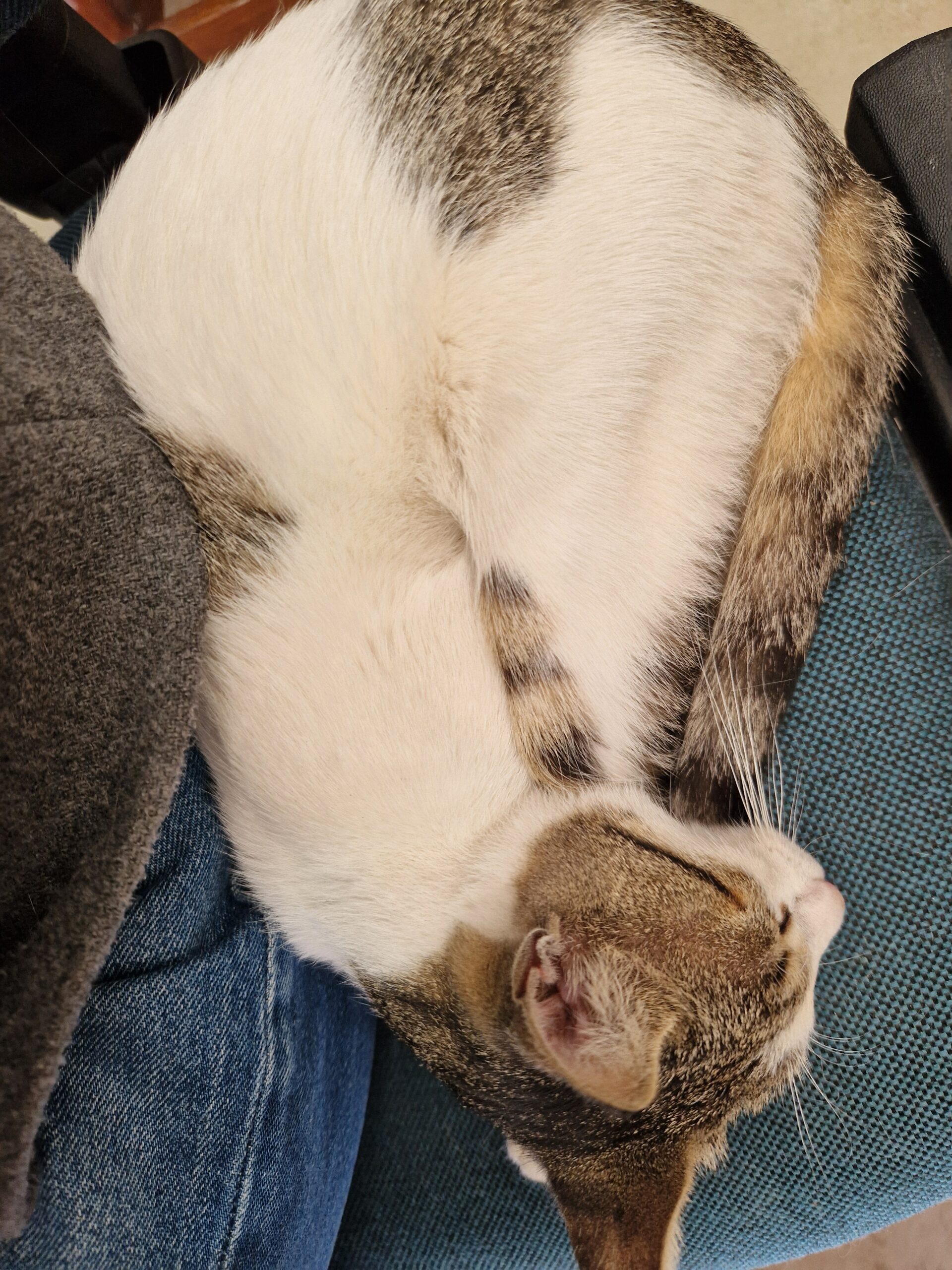 7331c7af-5ed9-4022-820b-8ad9910b77b4-1_all_129878