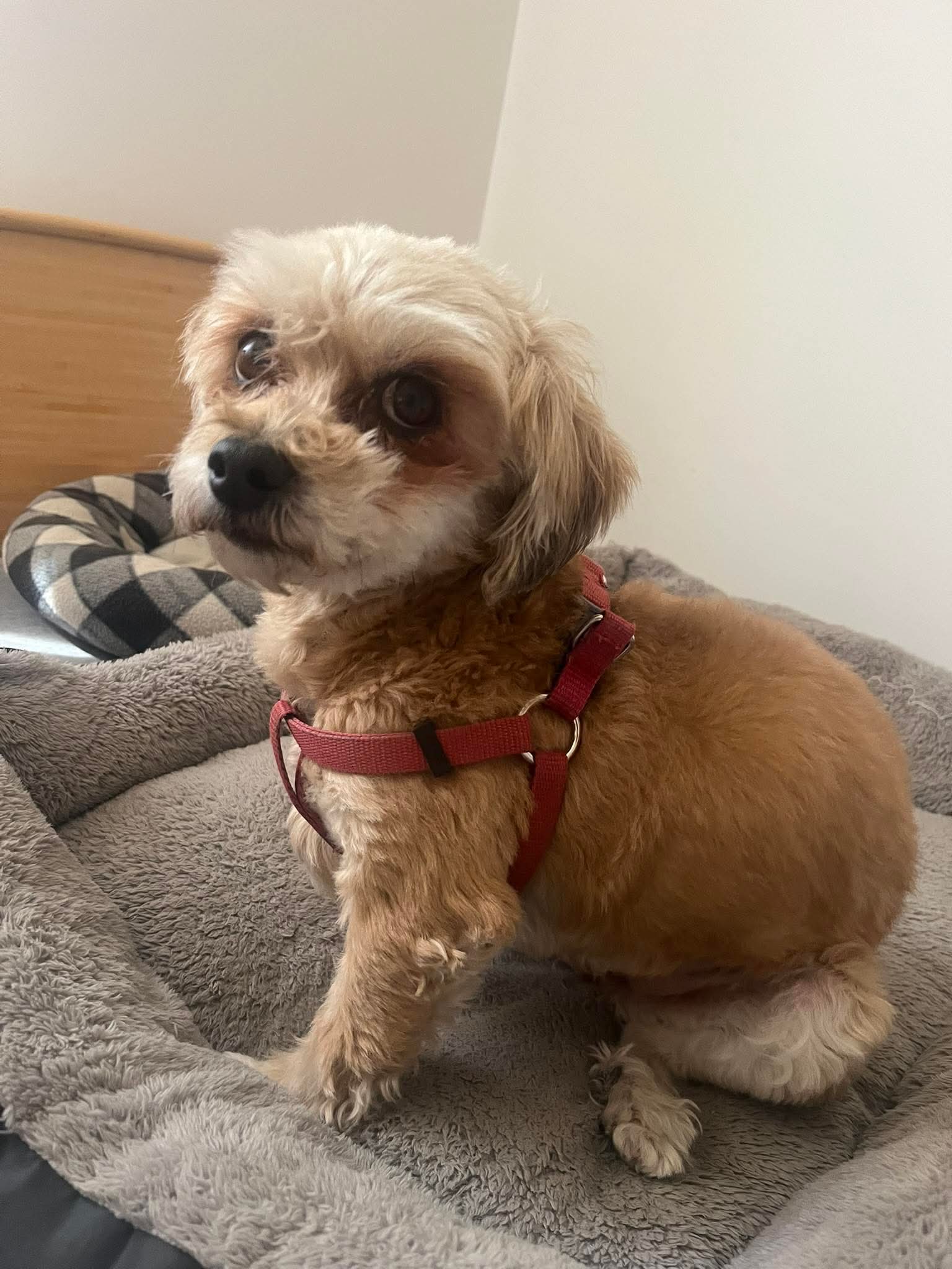 FB_IMG_1774419647797