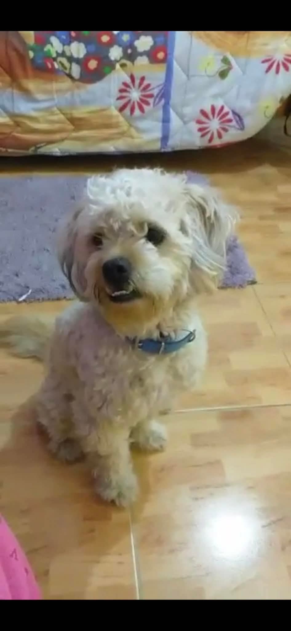 inbound6945186967717801152